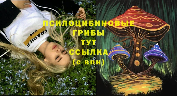 наркотики Абаза