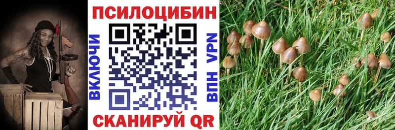 Псилоцибиновые грибы Psilocybe  цены   Усть-Катав 